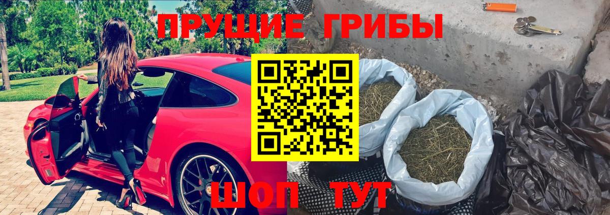 Галлюциногенные грибы MAGIC MUSHROOMS  Галлюциногенные грибы GOLDEN TEACHER  Нальчик  Вход с VPN 